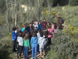 BRIÑAS DBH 1A-B